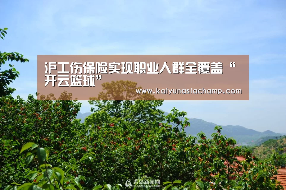 沪工伤保险实现职业人群全覆盖“开云篮球”(图1) 开云篮球