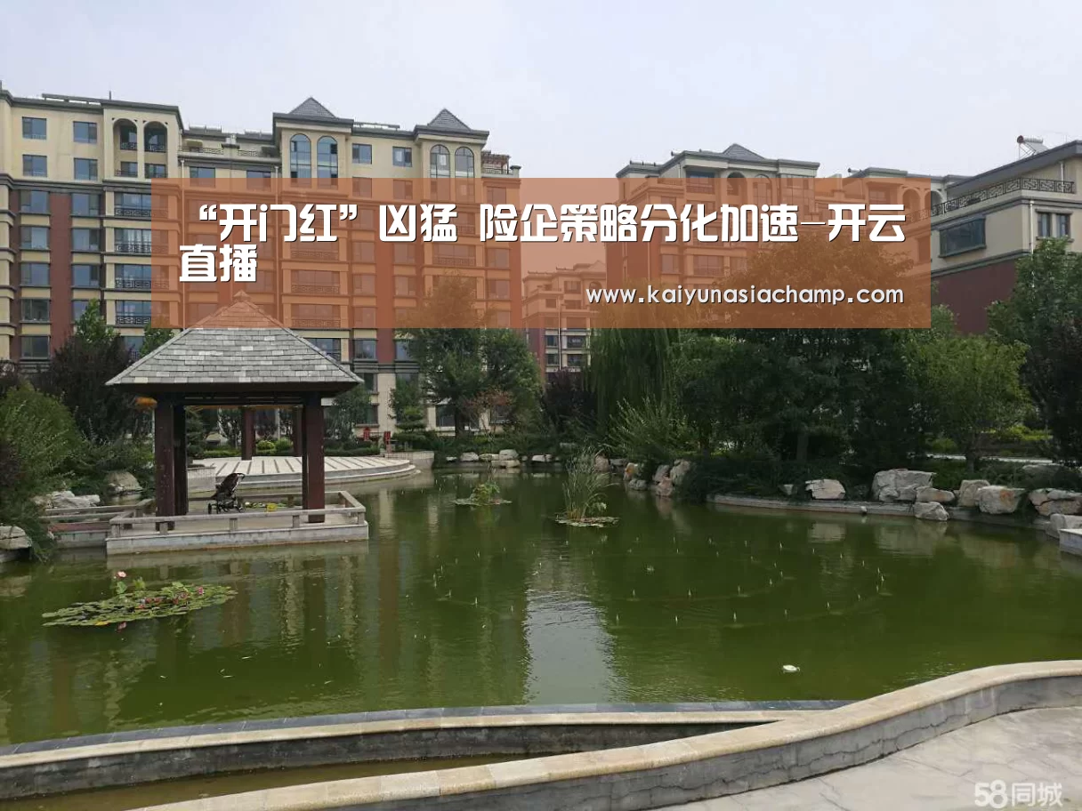 开云篮球