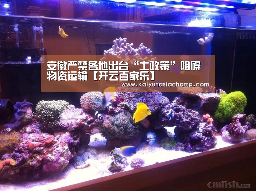 安徽严禁各地出台“土政策”阻碍物资运输【开云百家乐】(图1) 开云直播