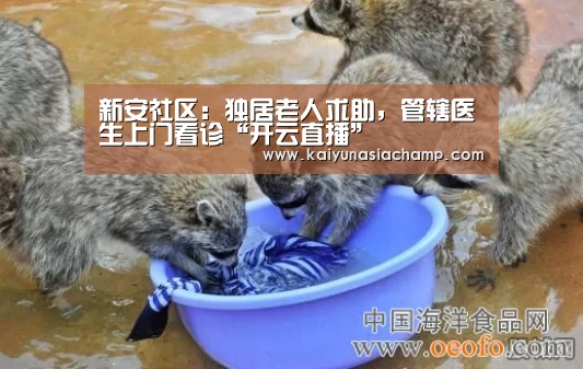 开云竞猜