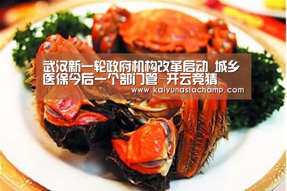 武汉新一轮政府机构改革启动 城乡医保今后一个部门管-开云竞猜(图1) 开云篮球