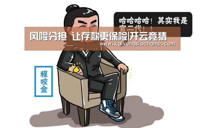 风险分担 让存款更保险|开云竞猜(图2) 开云直播