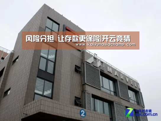 风险分担 让存款更保险|开云竞猜(图1) 开云篮球